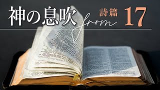 神が助けてくださる理由を、キリストの中に見つけに行け！詩篇17章 [upl. by Averyl646]