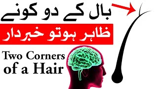 Baal K Do Kone Hon to Khabardar Hair Two corners of a hair Mehrban Ali [upl. by Carisa]