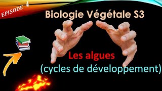 Biologie végétale Les algues cycle de développements épisode 4 [upl. by Slifka]