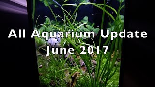 June 2017 Update [upl. by Angelita766]