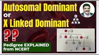 Confusion from New NCERT Autosomal Dominant or X Linked Dominant  Explained neet neet2024 [upl. by Eletnahs]