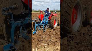 Massey Ferguson 135 Multi Power Tractor at Lutterworth Ploughing Practice Day 14th April 2024 [upl. by Semadar]