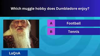 Harry Potter Trivia Quiz  Are You A Wizard Or A Muggle [upl. by Nesyt210]