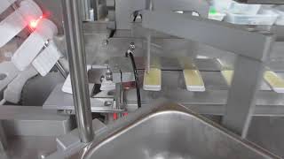 IQDSX Dipslide Filling Machine With Automatic Product Loading [upl. by Peacock948]