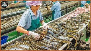 How Farmers Raise Millions of Snakes for Their Skin  Processing Factory [upl. by Sral]