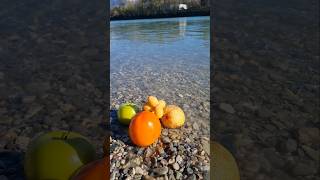 Inn River Austria Wörgl nature adventure shorts shortvideo austria [upl. by Ameh838]