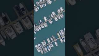 Airlie Beach airliebeach travel adventure trendingshorts viralshorts fyp drone [upl. by Aenert]