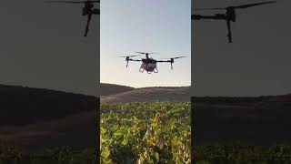 Agriculture drone operate in California [upl. by Aehr]