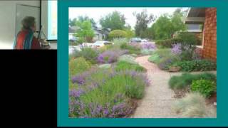 Converting a Lawn to a Native Plant Garden 1 [upl. by Sumer]