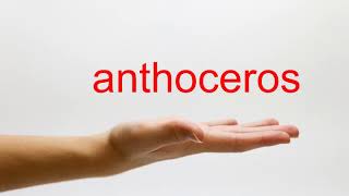 How to Pronounce anthoceros  American English [upl. by Juana785]