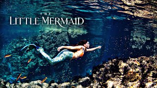 The Little Mermaid Full Movie in English 2023  Halle Bailey  Full Movie Facts and Review [upl. by Atiraj]