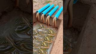 Survival Skills Simple But Very Useful with eel trap shorts survival bushcraft outdoors [upl. by Holly158]