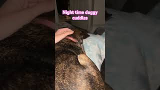 NIGHT TIME DOGGY CUDDLESSUBSCRIBE subscribe subscribe subscribe subscribe subscribe doggo [upl. by Akirdnuhs]