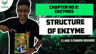 Structure of EnzymeApoenzymeHoloenzymeConjugated Enzyme And Co FactorCh 2class 11sindhboard [upl. by Elahcar]