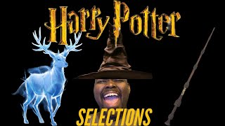 Finding My Harry Potter House Patronus and Wand [upl. by Halle]