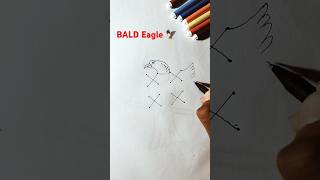 Bald Eagle Drawing eagles birdslover birds drawing [upl. by Agiaf]