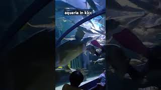 aquaria klcc [upl. by Johannah]