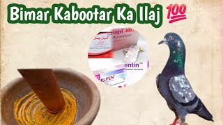 Kabootar Ki Bimari Ka ilaj 💯Working  Nasir Pigeons Official [upl. by Strander108]