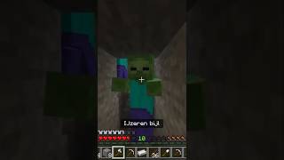 ZOMBIE ZOMBIE Ambush in a Minecraft Cave lets play [upl. by Artaed]