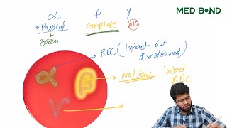 Lab Diagnosis of Staphylococcus aureus  Types of hemolysis  biochemical test  S aureus [upl. by Imaj]