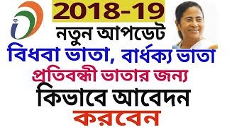 how to apply in senior citizens pension in west bengaldisable allowancewido allowance [upl. by Malvie393]