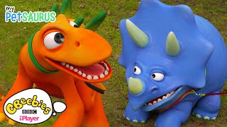 Dinosaurs on My Petsaurus  CBeebies [upl. by Drofwarc]