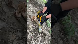 This chainsaw is so easy to usechainsaws hardwaretools viralvideo foryou [upl. by Bbor239]