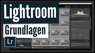 SO VERWALTEST DU BILDER MIT LIGHTROOM  Lightroom Organisation  Lightroom Grundlagen TUTORIAL [upl. by Oinesra]