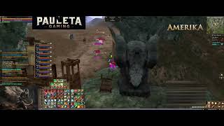 Lineage 2 Amerika PvP Zone  21112024  Pauleta Gaming POV [upl. by Juliana]