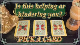 What makes you feel safe What scares you ★ Pick A Card Timeless Tarot Reading [upl. by Eille]