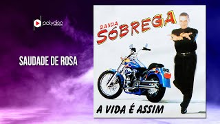 Banda Só Brega  Saudade de Rosa [upl. by Hooper445]