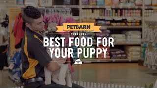 How to find the best food for your puppy [upl. by Analaj]