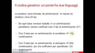 2 Trascrizione Dal DNA allRNA [upl. by Anoiek]