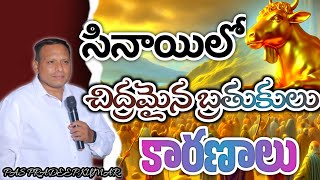 7 DAYS FASTING PRAYERS  DAY 4 సినాయిలో చిద్రమైన బ్రతుకులు కారణాలు by pspradeepkumar [upl. by Ehgit]