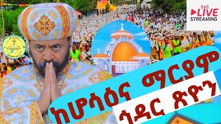 Live ከሆሳዕና መንበረ ጵጵስና ደብረ ገነት ቅድስት ማርያም ቤተክርስቲያን የኅዳር ጽዮን ልዩ ጉባኤ [upl. by Airotna]