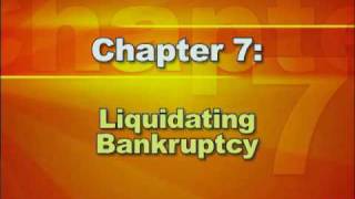 Bankruptcy Basics  Part 2 Types of Bankruptcy [upl. by Esirtal]