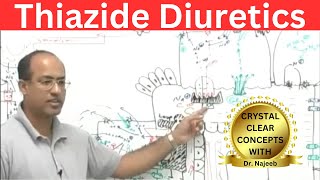 Thiazide Diuretics  Mechanism Of Action  Pharmacology💊 [upl. by Idolem]