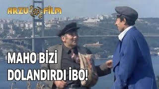 Maho Bizi Dolandırdı İbo  Banker Bilo [upl. by Enyleuqcaj65]