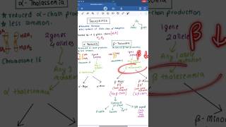 THALASSEMIA Kya Hai 🩸✅️  AlphaBetaMinorMajor  shortsdoctor [upl. by Aihsyak267]