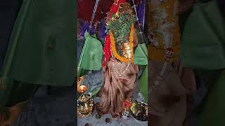 laher laher laheraye re meri agan ki Tulsi🙏🙏jai Tulsi maa🙏 [upl. by Kienan588]