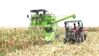 Maize combine harvester [upl. by Atsocal306]