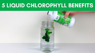 5 Chlorophyll Benefits for Health  Top Liquid Chlorophylls [upl. by Eleira]