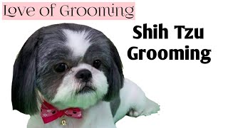 Grooming a Shih Tzu  Basic Clip [upl. by Cara]