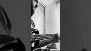 Thoughtless Korn  Distorted Bass Cover [upl. by Eerpud]