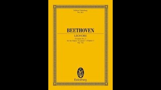 Beethoven Leonore no 3 op 72a  Overture  Antonino Manuli Orchestra Sinfonica dItalia [upl. by Hyacinthie]