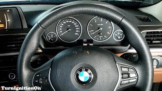 2017 BMW 320d  Startup [upl. by Melissa182]