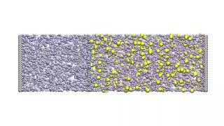 Molecular dynamics simulation of osmosis through a porous membrane [upl. by Ellenyl]