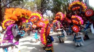 Danza chichimeca guadalupana don Diego venado slp [upl. by Sharl17]