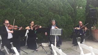 Lord of the Rings Concerning Hobbits Romanza String Quartet [upl. by Jamille481]