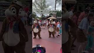 Come to a hoedown at Magic Kingdom 👢magickingdom frontierland hoedown [upl. by Demakis]